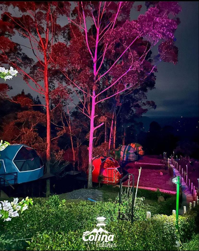 ホテル Colina Entre Colores プエンテ・ナシオナル エクステリア 写真